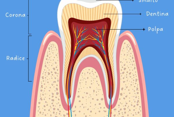 Alla scoperta del dente